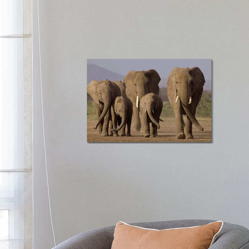 African Elephant Herd With Calves, Amboseli National Park, Kenya by Gerry Ellis - Wrapped Canvas Print