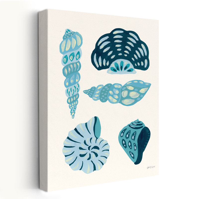 Beachy And Nautical My Tropical Shell Collection II V2, H 48 po x l 32 po