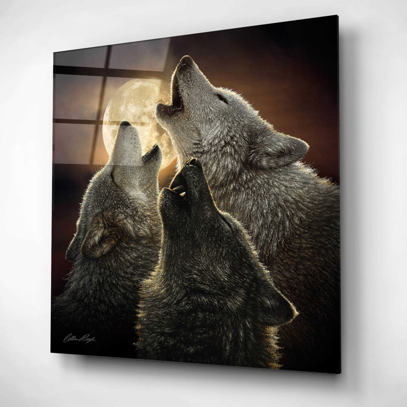 «Wolf Trinity» par Collin Bogle - impression sans cadre, H 12 po x l 12 po x P 0,13 po