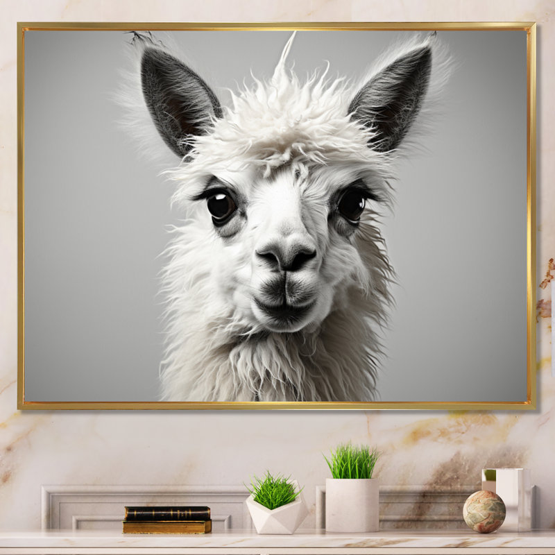 " Grey Llama Gentle Llama ", 30" H x 40" W, Black Picture Framed