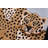 Wool Indoor Rug
