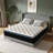 Alwyn Home Timera  Medium Hybrid Mattress-7704319-62865663