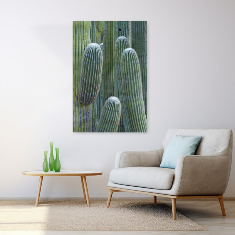 Cactus Saguaro, vallée d'Oro, Arizona, États-Unis, paysage de cactus contemporain abstrait, art naturel, H 48 po x l 32 po