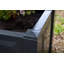 Aalisha Planter Box-15783879-23538681
