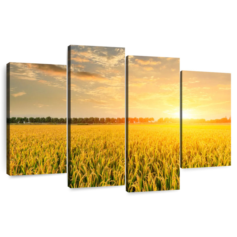Alvord Sunset Field, 22" H x 36" W
