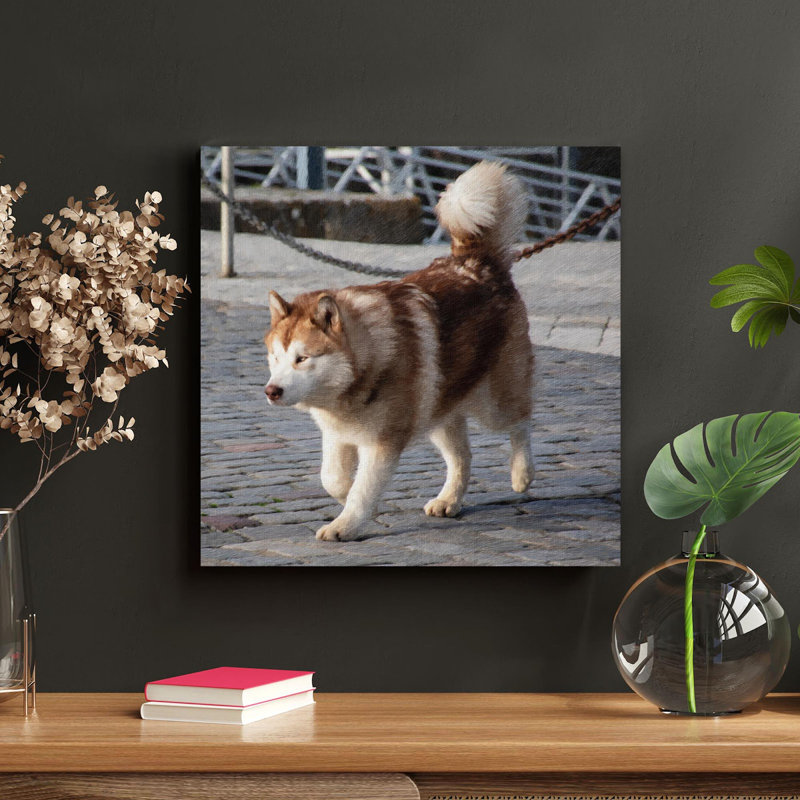 «Husky sibérien brun et blanc» sur un quai en bois brun pendant la journée - Reproduction d'art graphique rectangulaire sur toile tendue 1 pièce