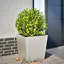 Chaely Metal Planter-722494808-722494822-722494821