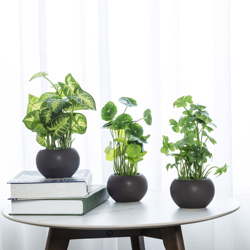8" Indoor Faux Artificial Plant in Brown Pot Primrue