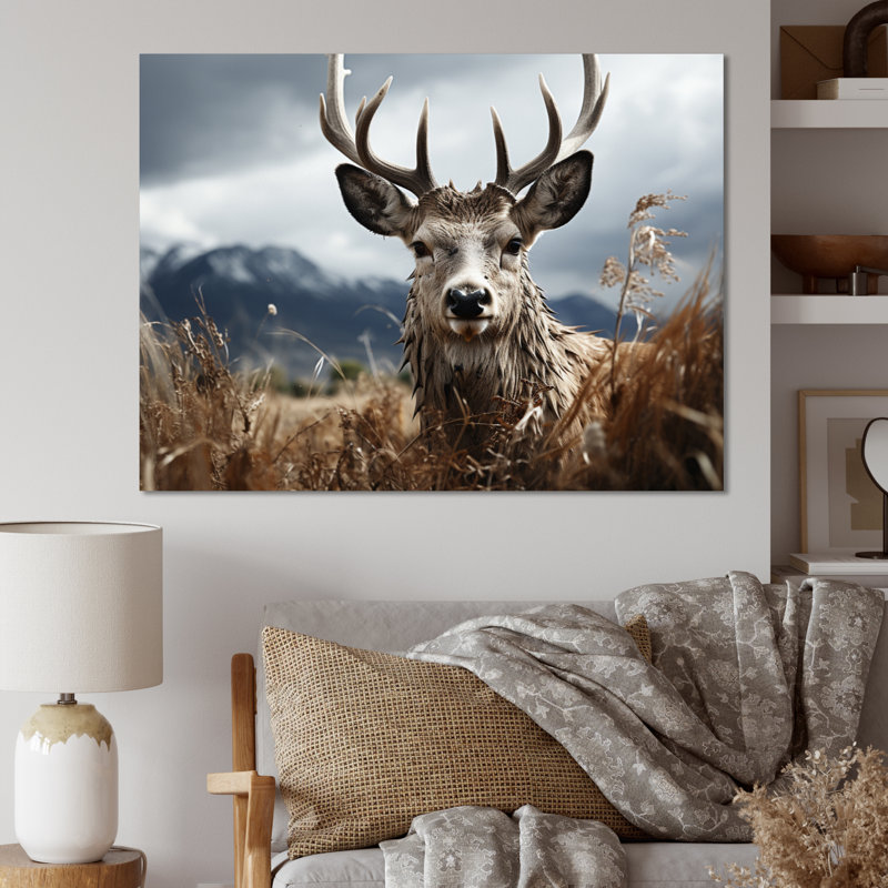 Photographie de cerf monochrome III - animaux, H 34 po x l 44 po, Toile tendue