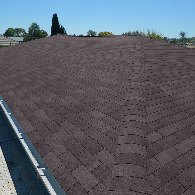 Breeins Rust Resistant Asphalt Roofing Kit