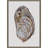 Oyster Elegance Canvas