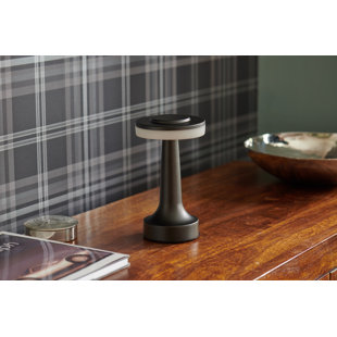 Metal Novelty Lamp
