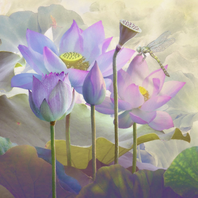 Lotus Sanctuary I by Steve Hunziker - Wrapped Canvas Painting, 30cm H x 30cm W x 3.8cm D