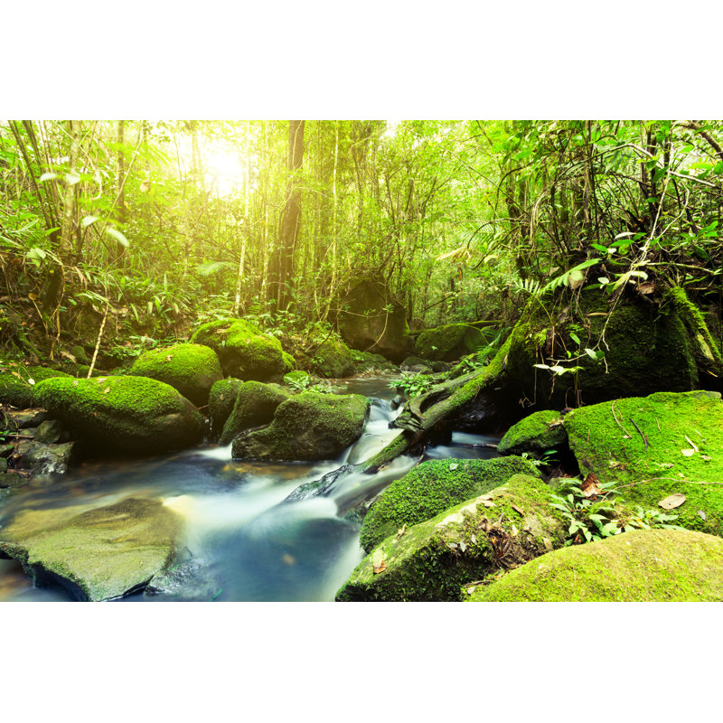 Jungle At Sunrise by Zodebala - Wrapped Canvas Print, 81cm H x 122cm W x 3.8cm D