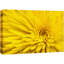 «Bright Neon Yellow Button Flower Gros plan» sur-99543524
