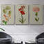Botanical Array IV - 3 pièces d'une seule photo sur toile-97759176-97759177