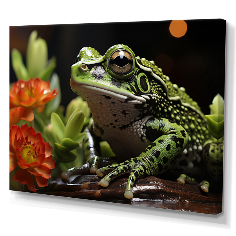 Grenouille amphibienne sérénade - impression, Toile tendue, 24" H x 32" W