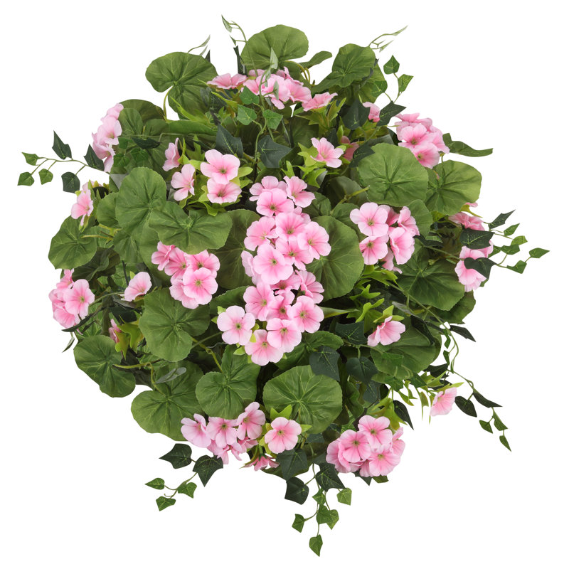 Adjustable Height Pink Geranium Urn Filler, Set of 1