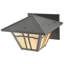 1 - Light Outdoor Wall Lantern