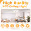Acrylic Semi Flush Mount-14470547