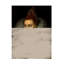 Art moderne sur toile, bolologien-103100414