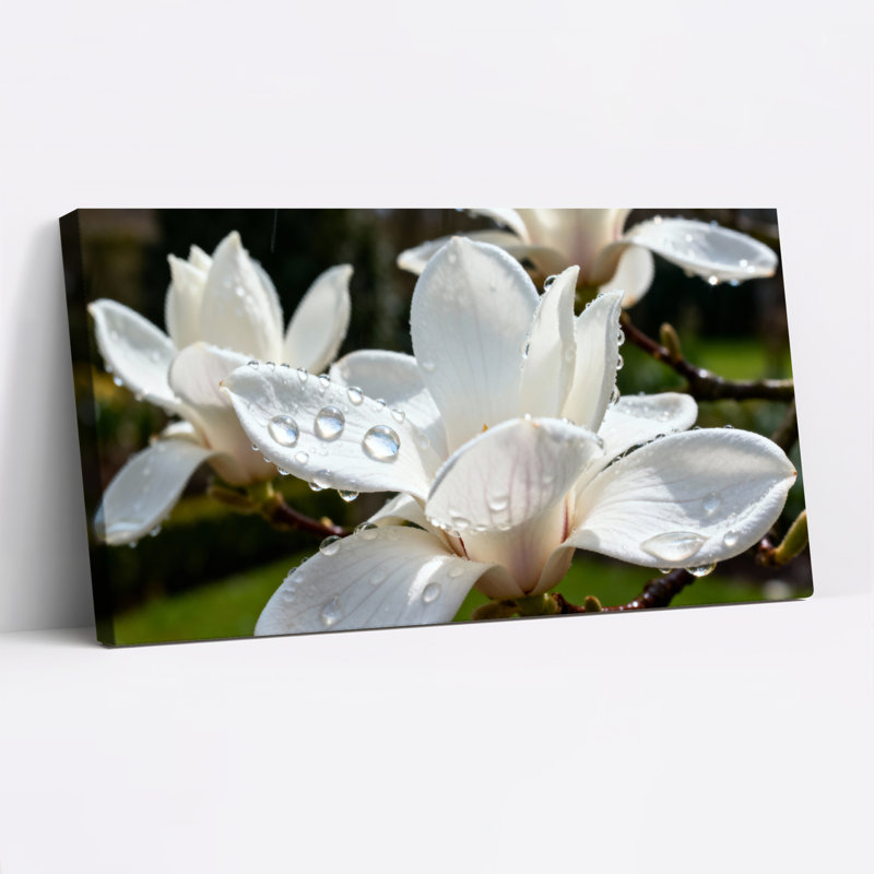 Ensemble de 1 tableau sur toile tendue représentant des fleurs de magnolia avec des gouttes de rosée, H 28 po x l 58 po