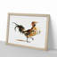 A Rooster by Johan Teyler - Framed Print-55450921-55450924