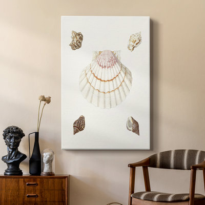 Pastel Knorr Shells IV -Custom Wrapped Gallery Cavas