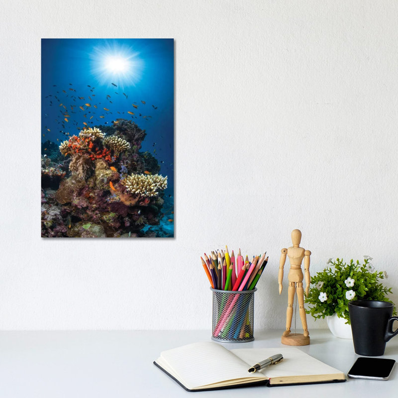 Reef AndSunshine by Barathieu Gabriel - Wrapped Canvas Print, 20.32 cm H x 30.48 cm W