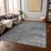 Machine Washable Indoor/Outdoor Chayden ACN988 Silver Rug
