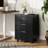 Carreiro 18.2'' Wide 3 Drawer File Cabinet, Wood Filing Cabinet, Printer Cabinet, Home Office Filing Cabinets-29879798