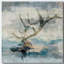 Wyoming II - impression sur toile tendue-800348406