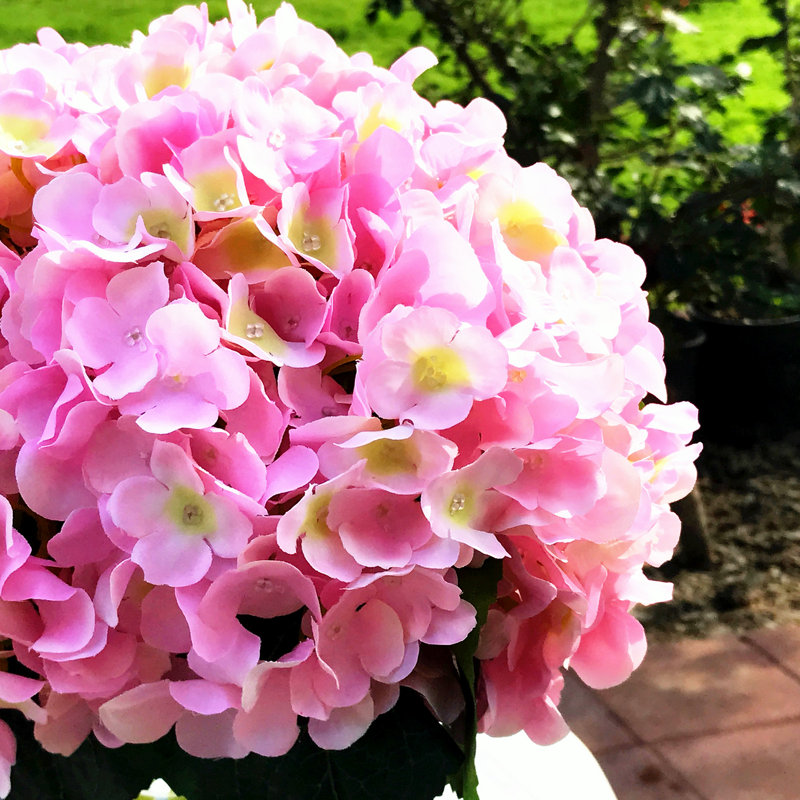 Pink Silk Hydrangea and Rose Arrangement in Clear Glass Vase