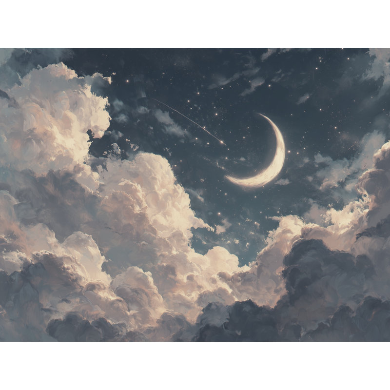 Rouleau double mural ciel nocturne, Textured Non-Pasted, 160 po x 108 po