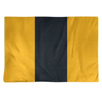 Récapitulatif 18" à rayures de football Pittsburgh