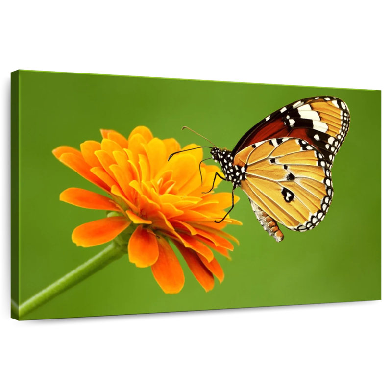 Brampt Butterfly With Flower, 34" H x 51" W