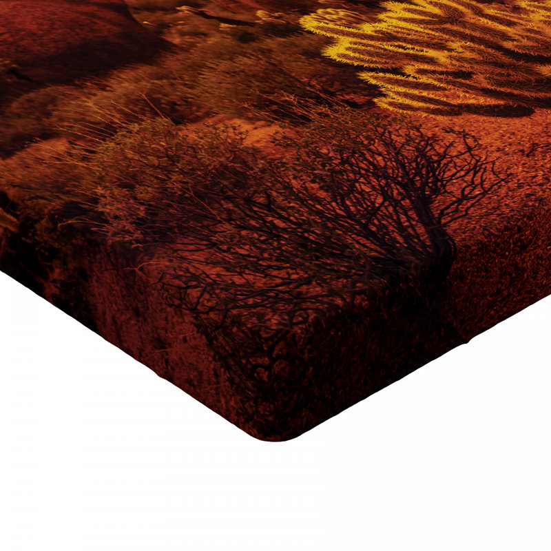 Drap-housse saguaro, Drap-housse de taille simple