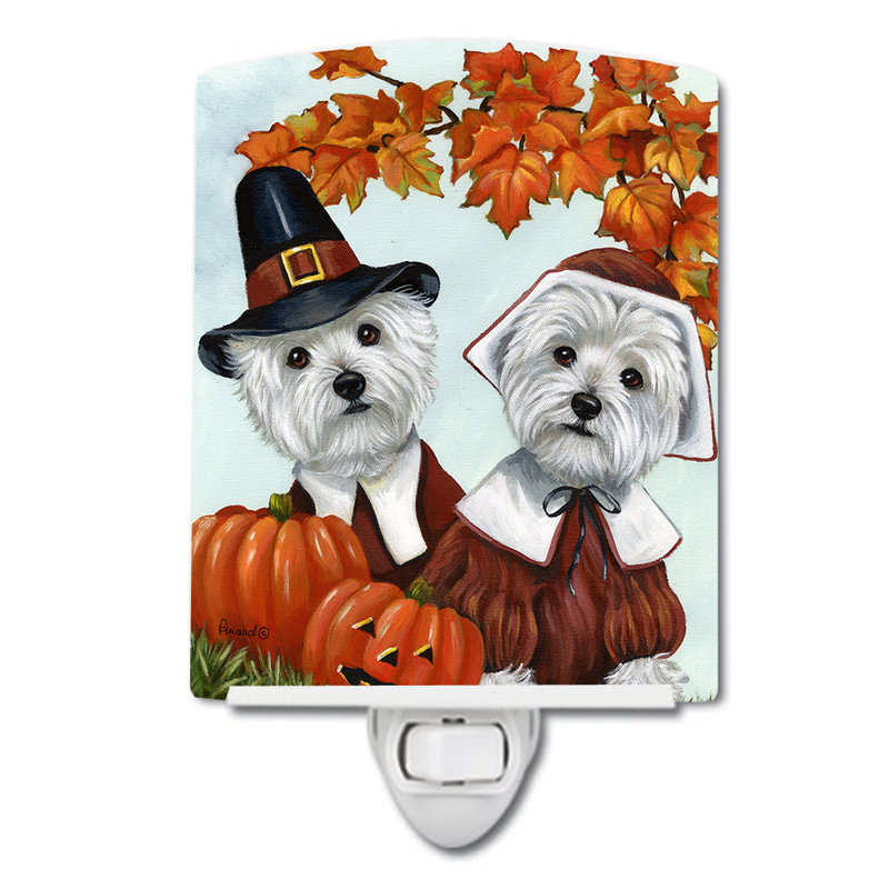 Veilleuse Schnauzer, Westie pèlerins