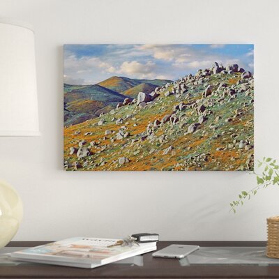 California Poppy Flowers, Rocky Grassland, Canyon Hills, Santa Ana Mountains, California' Photographic Print on Canvas -  East Urban Home, A1DBAA7597D34B11BF87FF2E3BECE5EF