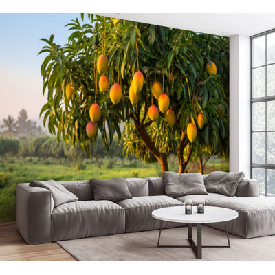 Wall Mural Peel and Stick Wallpaper Mango Tree Orchard Golden Sunset Green Foliage Tropical Farm Landscape Self-Adhesive Removable Contact Paper Wall Decor for Living Room Bedroom 100"H x 144"W