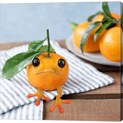 " Frogorange " by Pixelmated Animals