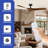 Karroll 52'' Ceiling Fan-133845353