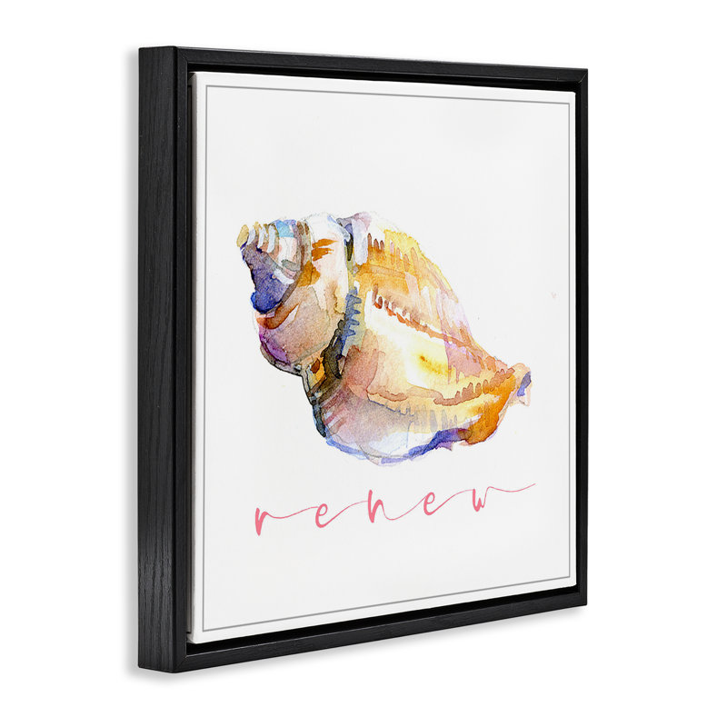 «Conch Shell Renew» par John Keeling, Cadre flottant noir de jais, H 18 po x l 18 po