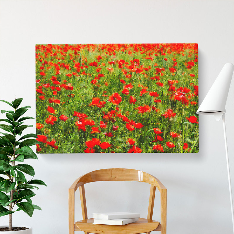 Field Of Poppies Vol.2 - Wrapped Canvas Painting, 50cm H x 76cm W x 3cm D