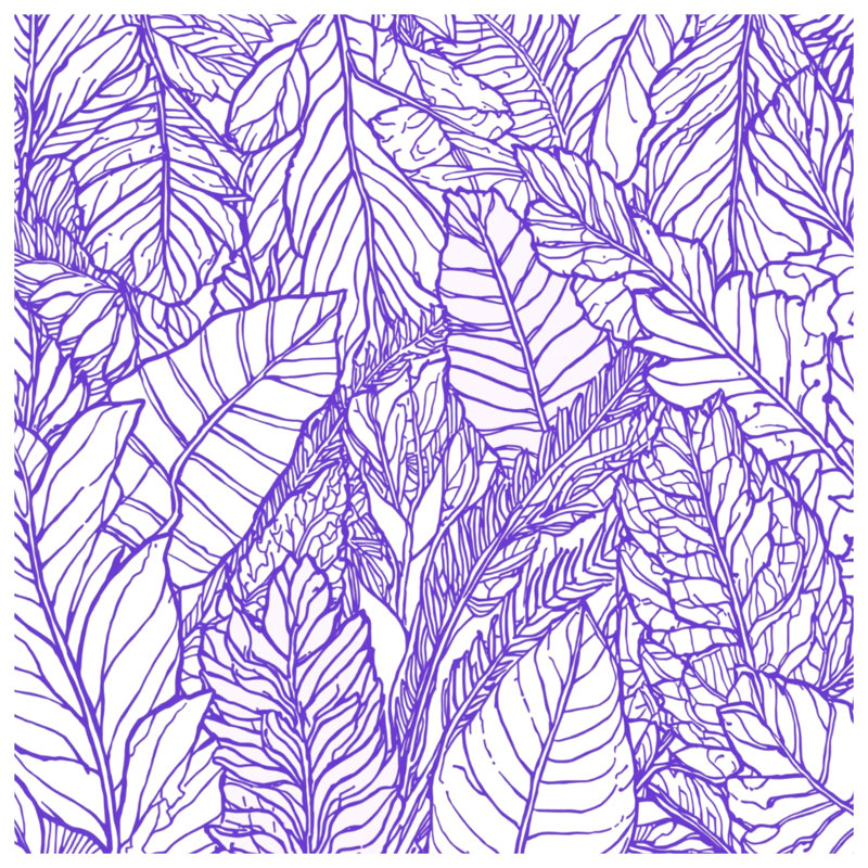 Coussins décoratifs mauves, 18 po x 18 po