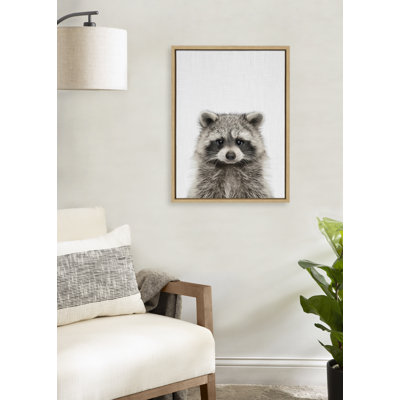 Raccoon Color by Simon Te of Tai Prints Framed Canvas Wall Art Print