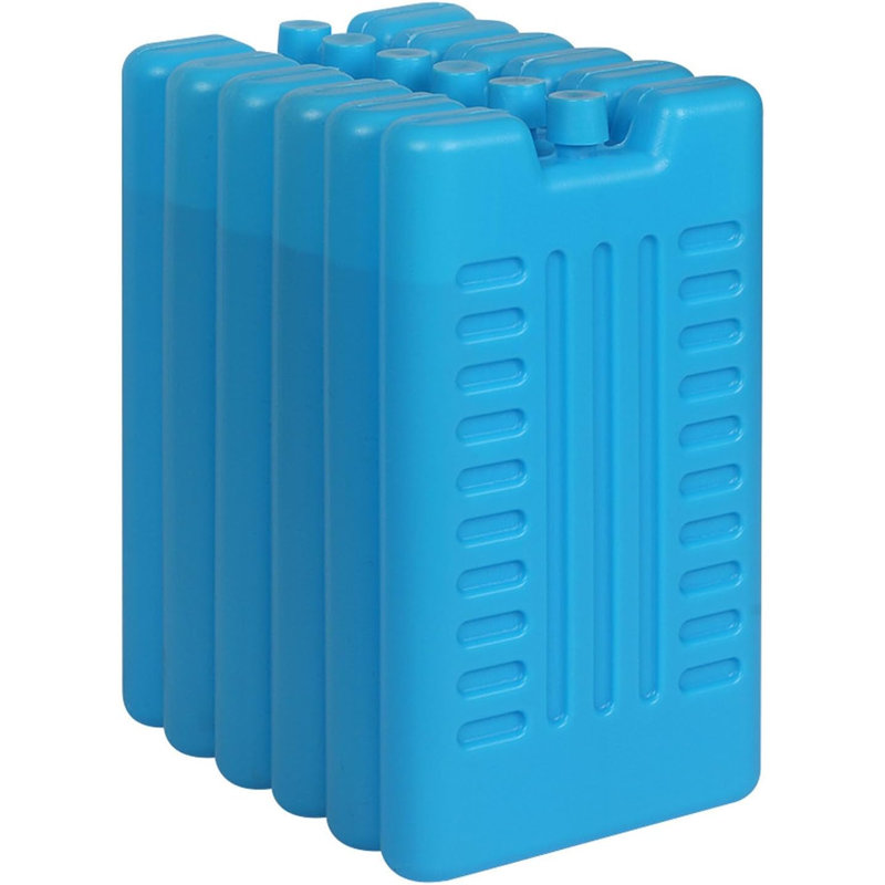 Riegelsville Pack Of 6 Reusable Freezer Ice Pack Blocks - Cools & Keeps Food & Drinks Fresh | Ideal For Picnics, Cool Bags, Lunch Boxes Ice Cube Tray