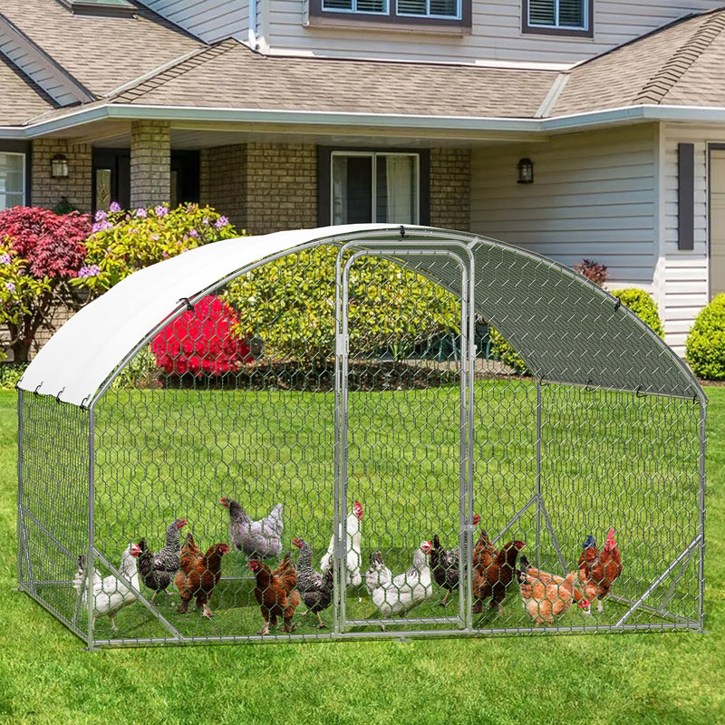 6m² Chicken Coop