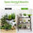 Henninger Plant Stand 3 Tier