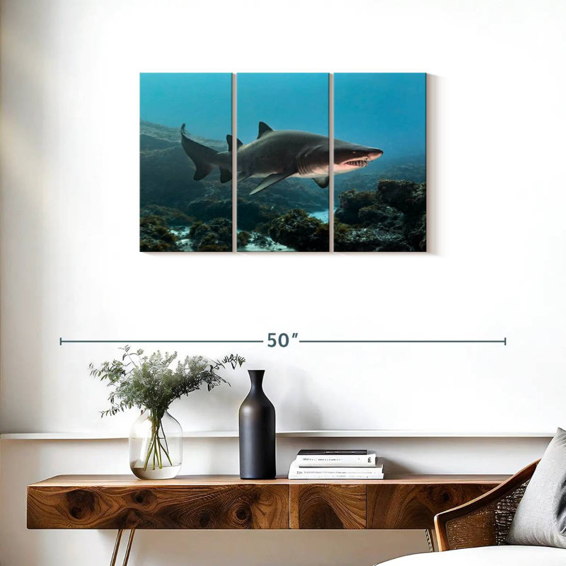 Aliwal Shoal Shark, H 20 po x l 33 po